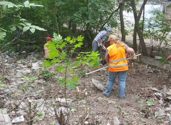 Прибрано занедбану безхозну ділянку по вул. Казарського Прибрано занедбану безхозну ділянку по вул. Казарського