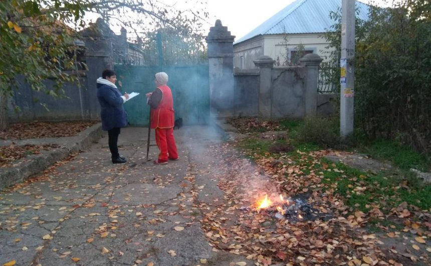 Боротьба з палінням листя Боротьба з палінням листя