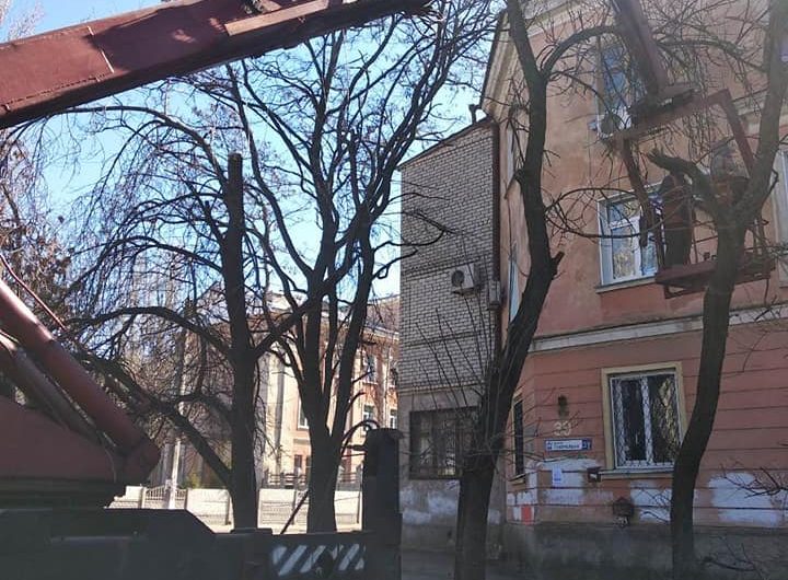 Знесення сухих та аварійних дерев Знесення сухих та аварійних дерев