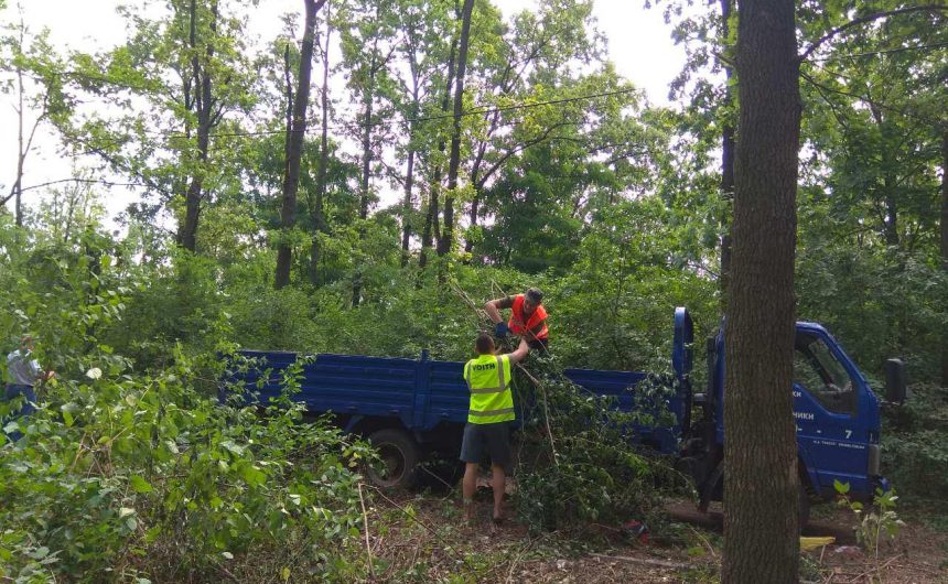 Ведуться роботи з вирубування та вивозу порослі у лісопарку по вул. Космонавтів –Турбінна – Новозаводська Ведуться роботи з вирубування та вивозу порослі у лісопарку по вул. Космонавтів –Турбінна – Новозаводська