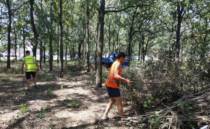 Виконуються роботи у лісопарку по вул. Космонавтів –Турбінна – Новозаводська Виконуються роботи у лісопарку по вул. Космонавтів –Турбінна – Новозаводська