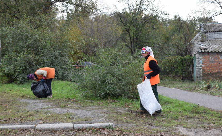 Прибирання на зелених зонах Прибирання на зелених зонах