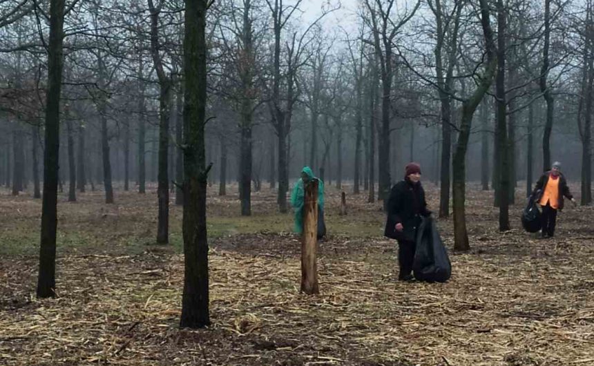 Очищення території лісопарку від випадкового сміття Очищення території лісопарку від випадкового сміття