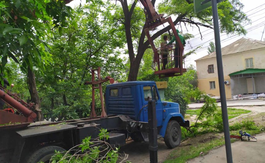 Продовжуються роботи зі знесення та санітарної обрізки дерев Продовжуються роботи зі знесення та санітарної обрізки дерев