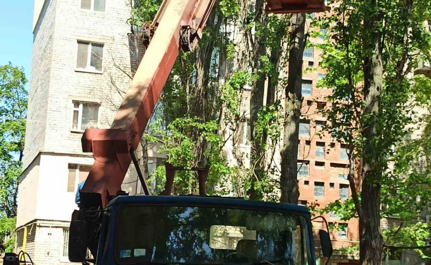 Тривають роботи по знесенню та обрізці дерев Тривають роботи по знесенню та обрізці дерев