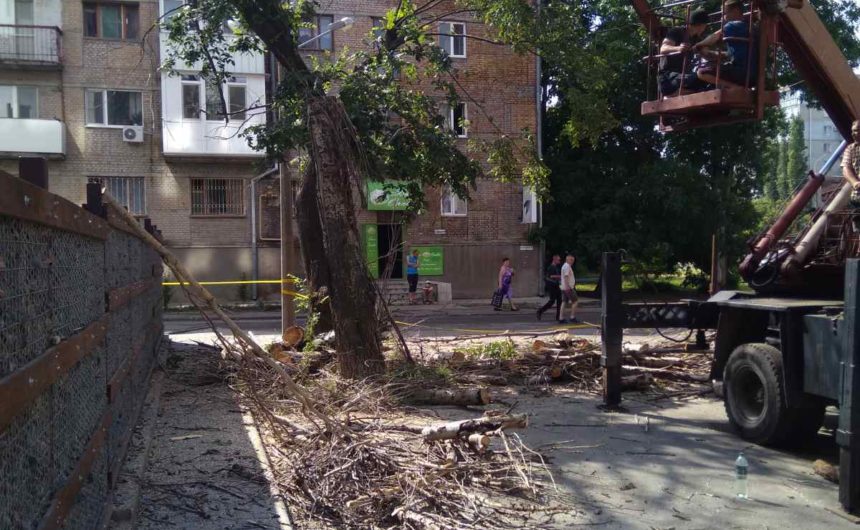 Знесення сухих та аварійних дерев Знесення сухих та аварійних дерев
