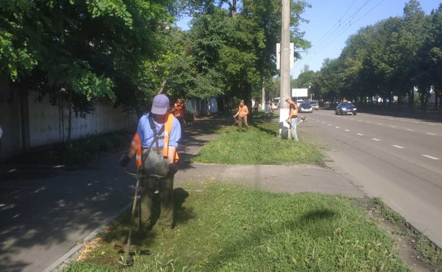 Покіс трави на зелених зонах Покіс трави на зелених зонах