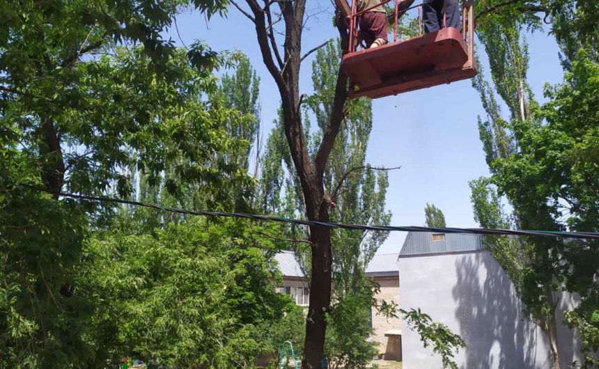На замовлення адміністрації Інгульського району виконуються роботи по обрізці дерев На замовлення адміністрації Інгульського району виконуються роботи по обрізці дерев