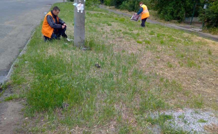 Збір випадкового сміття Збір випадкового сміття