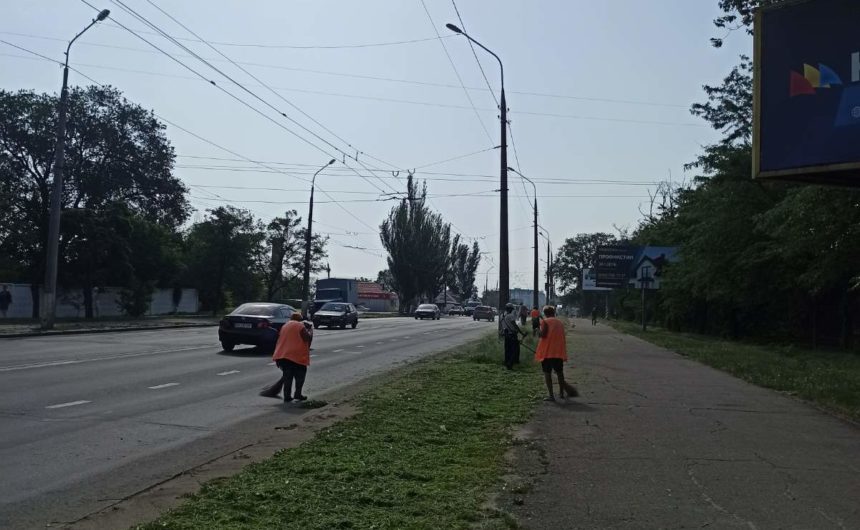 Покіс трави на зелених зонах Покіс трави на зелених зонах