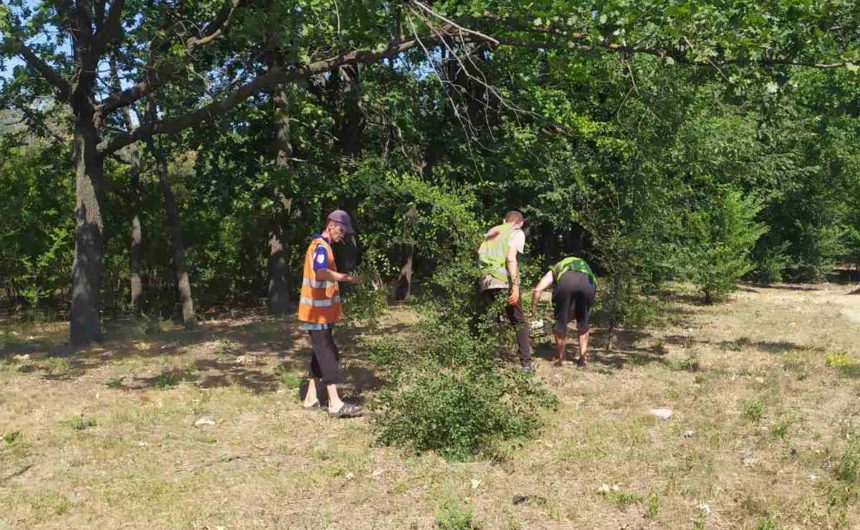 Обрізка дерев від порослі Обрізка дерев від порослі