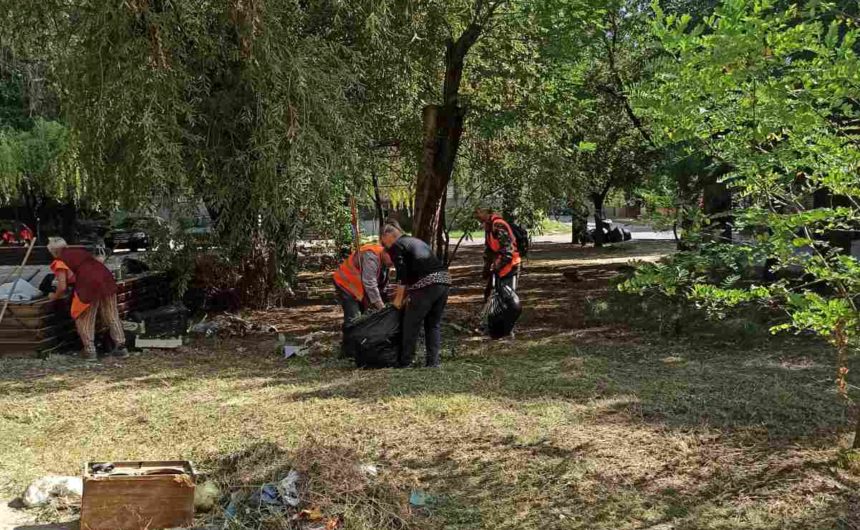 Приведення територій до належного санітарного стану Приведення територій до належного санітарного стану