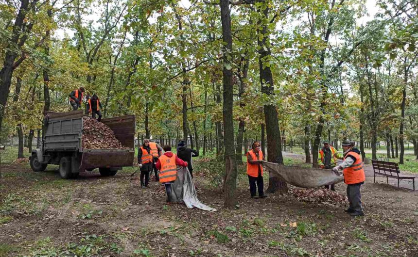 Очищення територій скверів від опалого листя Очищення територій скверів від опалого листя