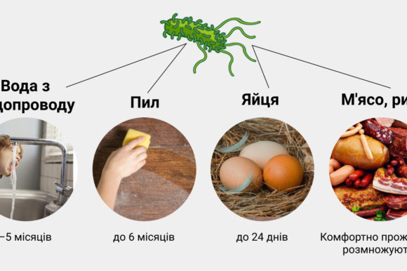 САЛЬМОНЕЛЬОЗ – небезпечне захворювання САЛЬМОНЕЛЬОЗ – небезпечне захворювання