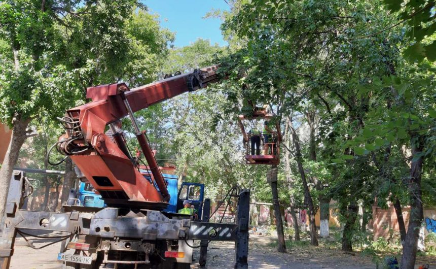 Ліквідація аварійних дерев за зверненнями громадян