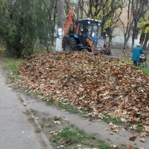 Тривають роботи з очищення Інгульського району від опалого листя