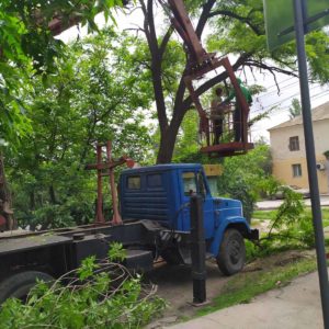 Продовжуються роботи зі знесення та санітарної обрізки дерев