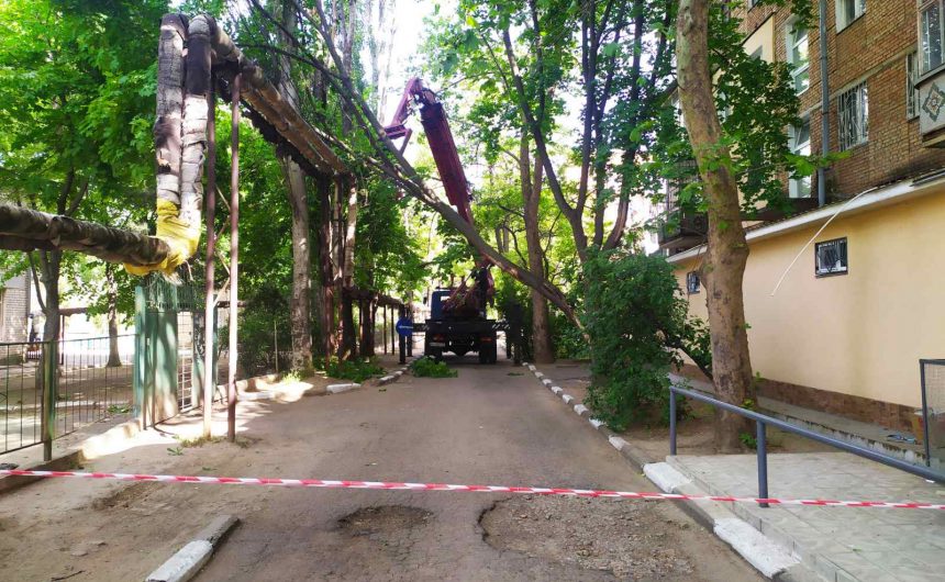 Ліквідація аварійного дерева