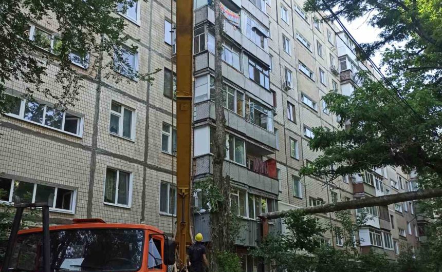 Знесення аварійного дерева