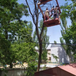 На замовлення адміністрації Інгульського району виконуються роботи по обрізці дерев